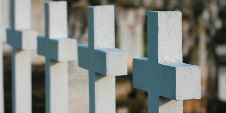 Cruces blancas en un cementerio.