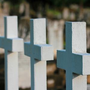 Cruces blancas en un cementerio.