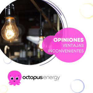 Opiniones Octopus ventajas e inconvenientes