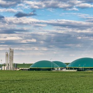 Biogás, un combustible natural